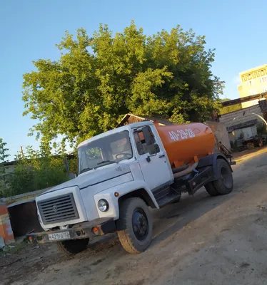 Картушаева Светлана Сергеевна